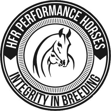 Photo: HFR Performance Horses